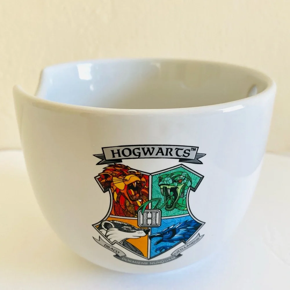 Harry Potter Hogwarts 20 oz Ceramic Ramen Bowl Dark Academia Fantasy Magical